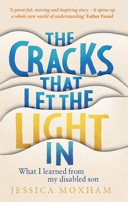 The Cracks that Let the Light In: What I learned from my disabled son [hardcover