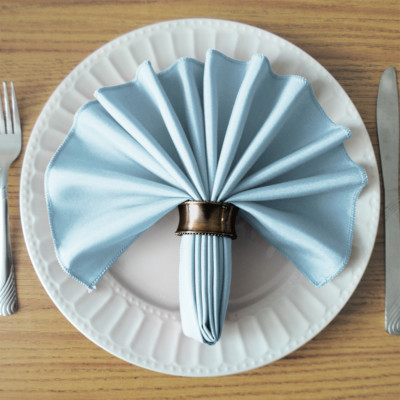 SimplyPoly 17x17 Inch Cloth Napkins
