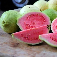 50+ Taiwan Pink Guava Seeds for Garden Planting - USA - FREE SHIPPING!