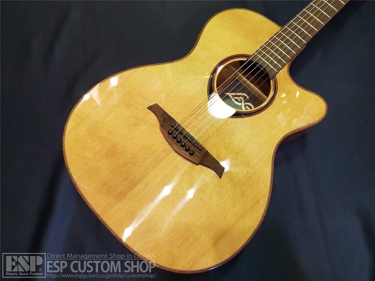 Lag Guitars T118Ace Safe delivery from Japan | eBay