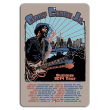 Electrifying Blues: Summer 2014 Tour Vibe