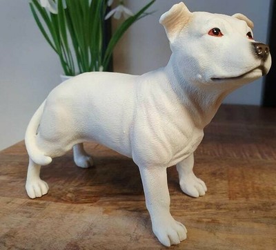 leonardo staffordshire bull terrier