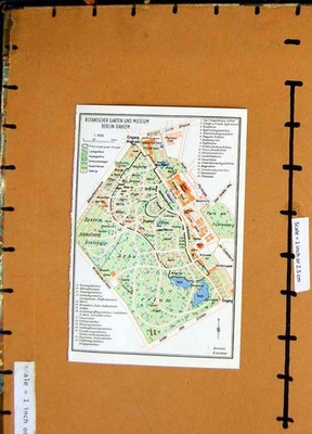 Alte Vintage Druck Karte 1965 Deutschland Plan Notanischer Garten Museum Berlin 20.