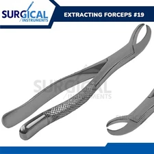 Tooth Extracting Forceps #19 Surgical Dental Instruments Stainless German Grade