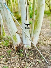 HandForged spear God of War Kratos Etched Spear Draupnir Leviathan Spear 81"