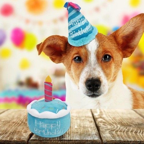 Dog Birthday Cake Toy Plush Cake Dog Toy Boy Girl Dog Birthday Gift Washable - Picture 9 of 14