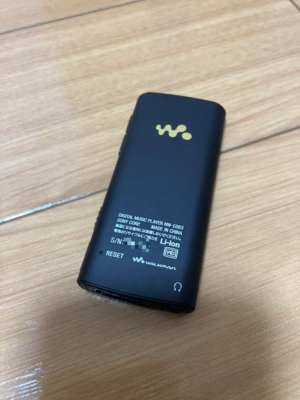 Sony Walkman NW-E063 MP3 Digital Media Player Black Good | eBay