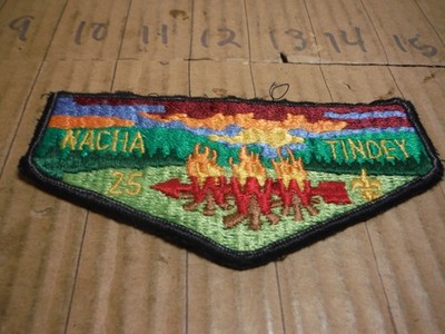Vintage Boy Scouts of America Nacha Tindey Lodge 25 patch