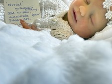 Reborn art Doll, Full Bodied Silicone, Preemie. Beautiful and Seeking Love x
