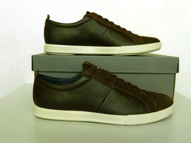 ecco collin coffee