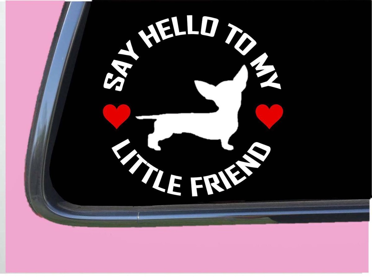 Chiweenie my Little Friend TP 1029 vinyl 6