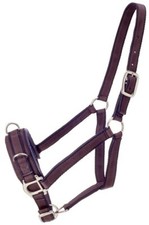 Nylon Lunging Horse Holder - Caveson