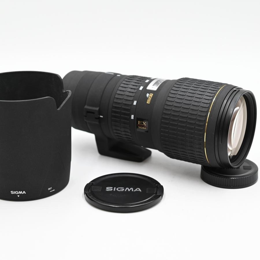 【美品】SIGMA APO 100-300mm F4 EX DG HSM Sigma APO EX 100-300mm F4 Lens Reviews - Sigma Lenses