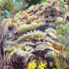 Swim Surreal - In the Half Light [Used Very Good CD]