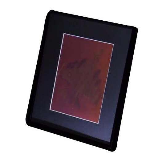 F-12 Fighter Jet 2-Kanal 3D Sammlerstück Hologramm Bild PHOTOPOLYMER - gerahmt - Bild 3 von 12