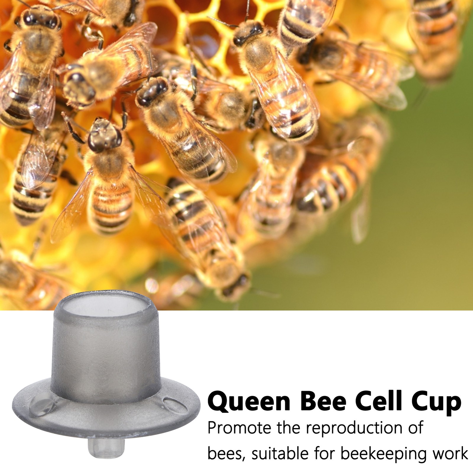100Pcs Bee Rearing Cell Cup Plastic Breeding Cage Beekeeping Accessory HG