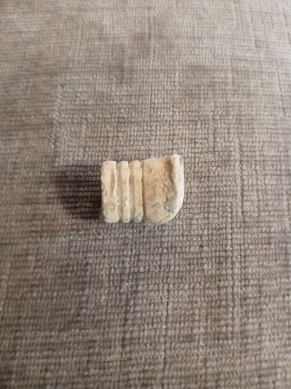 Civil War solid hit bullet dug at Confederate camp near battle of Petersburg VA