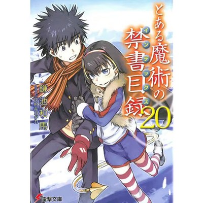 Toaru Majutsu no Index Vol 20 Book ASCII Media Works Japanese
