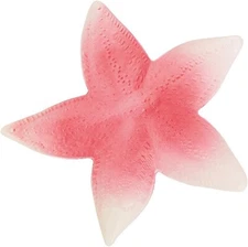 Plastic Starfish - Nautical Tiki Luau Decoration