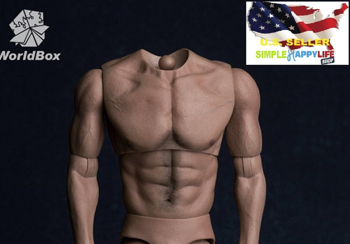 WorldBox AT017 1/6 Muscular No Neck Body Strong Durable 12