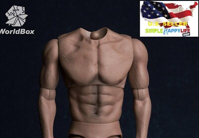 WorldBox AT017 1/6 Muscular No Neck Body Strong Durable 12'' FOR HOT TOYS  USA 