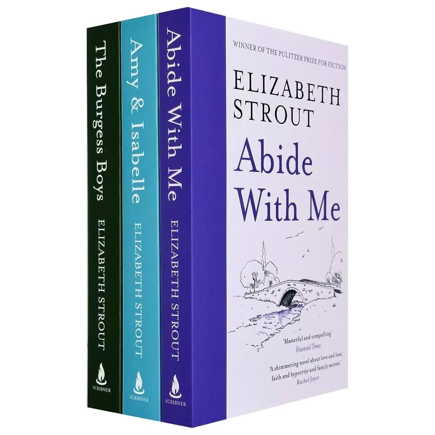 Elizabeth Strout Collection 3 Books Set Amy Isabelle, Abide With Me,Burgess Boys