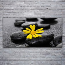 Acrylglasbilder Wandbilder Druck 120x60 Blume Steine Kunst