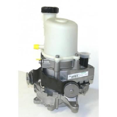 Servopumpe DACIA DUSTER- 491100032R