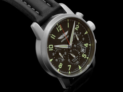 Pilot