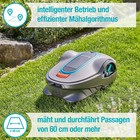 Bild 5 von 7