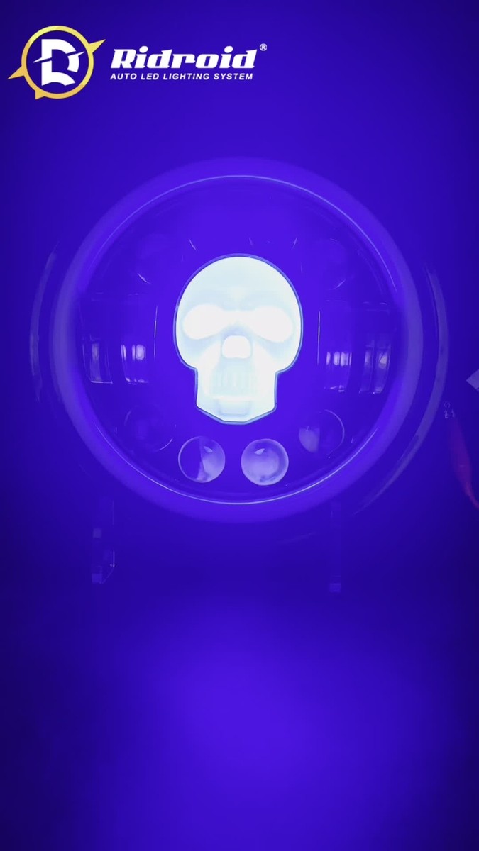 Lighting Trendz: Lighting Trendz Harley-Davidson Street Glide Halo Kit