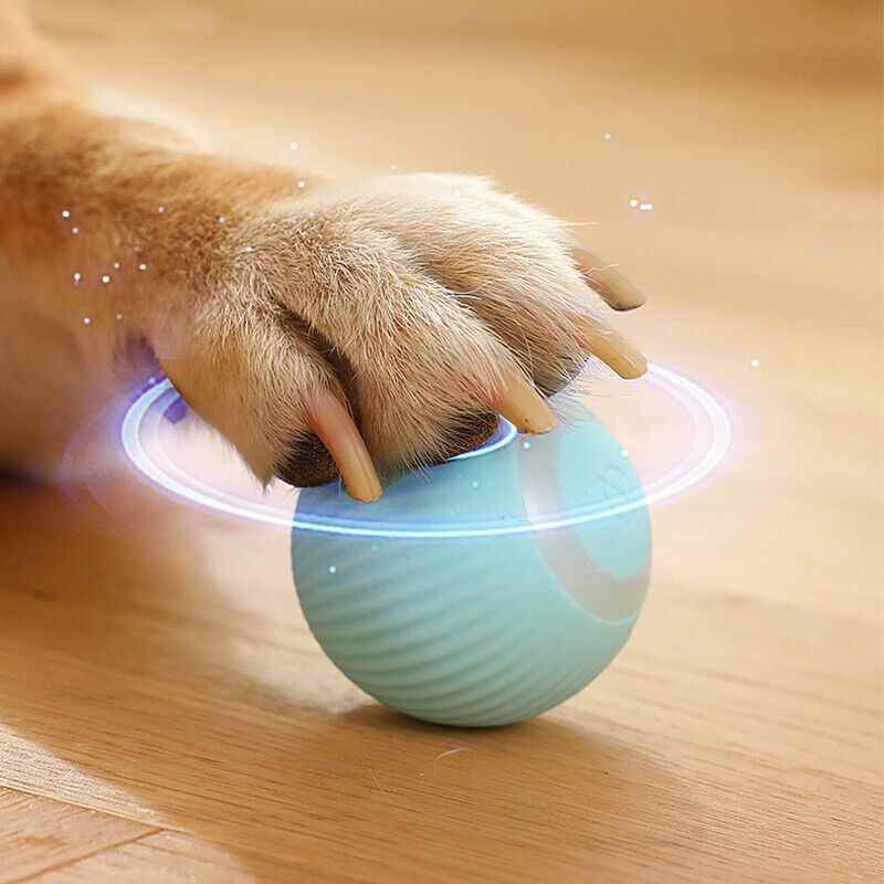 Power Ball 2.0 Cat Toy