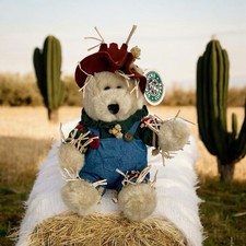 Starbucks Bearista Plush Bear 9 2001 Scarecrow 16th Edition