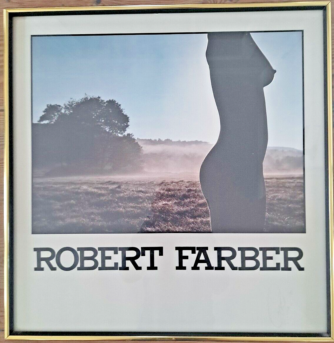Robert Farber Signed by Artist and Framed Picture | eBay