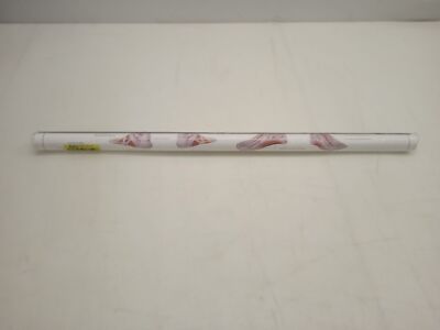Sport-Tec Weibliches Muskelsystem Lehrtafel Anatomie 100x70 cm Portugiesisch 