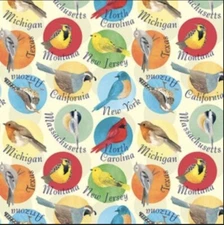 Blank Quilting Stateside State Birds Yellow Cotton Fabric By The Yard