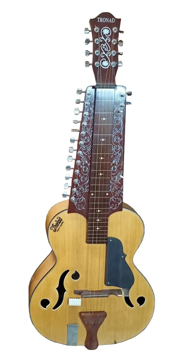 NEW CHATURANGUI MOHAN VEENA INDIAN RESONATING SLIDE GUITAR in CEDAR ROSEWOOD