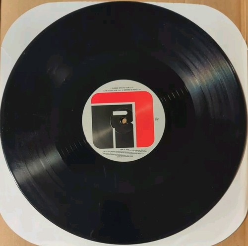 BEN HARPER AND RELENTLSS7: WHITE LIES FOR DARK TIMES VINYL RECORD ALBUM LP 180gr - Picture 5 of 11