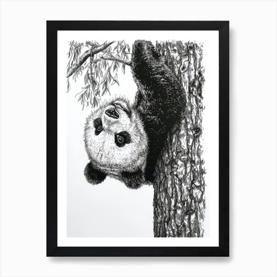 Riesen Panda Jungtier umgedreht hängend gerahmtes Wandbild Poster Leinwanddruck Bild