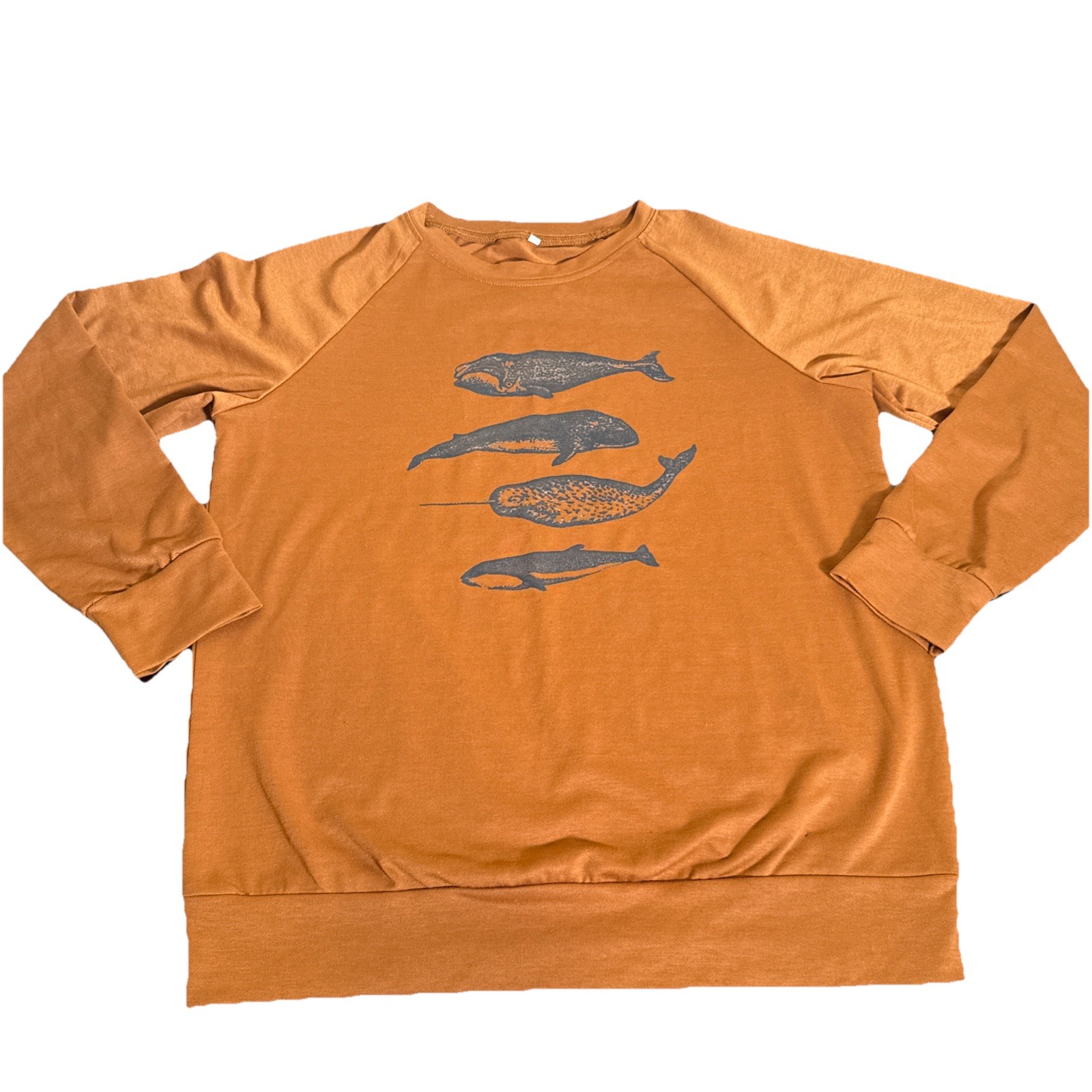 Ladies Jumper whale species Pullover earth brown colour whales images MED Unisex