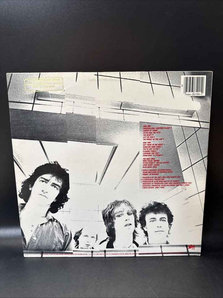 The Only Ones Special View 1979 Epic LP Vinyl Record Foto 2 de 4