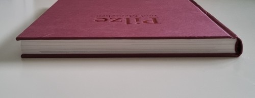 Pilze und Menschen von Christian Rätsch (2010, Zustand akzeptabel) - Bild 7 von 7