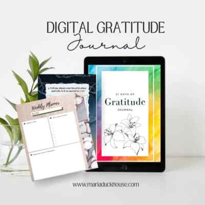 Digitales Dankbarkeitstagebuch | Link zum Download Planer für iPad & GoodNotes