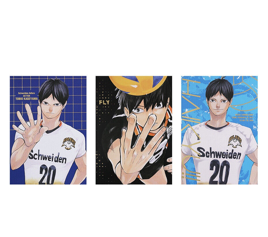 Kageyama Tobio 「 Haikyu! TO THE TOP Portrait Album 3 」, Goods /  Accessories