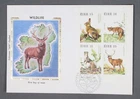MayfairStamps Ireland FDC 1980 Wildlife Block Colorano Silk First Day Cover aaw_