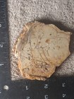rough slab Brecciated Jasper 115g. 5/16" Thick Lapidary Cabbing #BB-1 — photo 4
