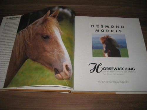 Horsewatching Körpersprache des Pferdes (Desmond Morris 1998) Buch gebunden Z2 - 第 3/10 張圖片