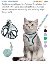 Cat Harness and Leash for Walking,