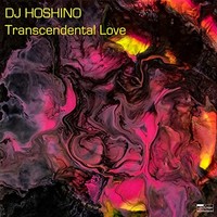Dj Hoshino - Transcendental Love - Vinyl Record - G3Z