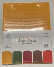 Paper Accents Stash Pack Cardstock, Autumn, 40 Pcs